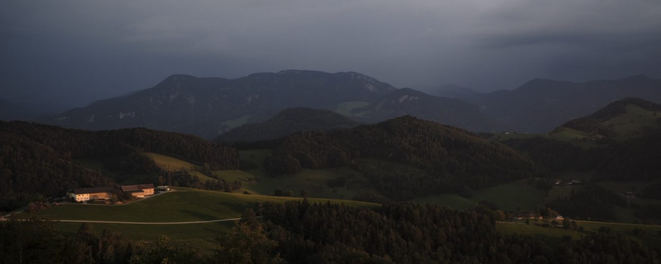 begutachter