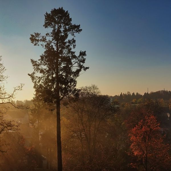 Herbst