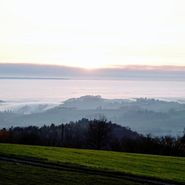Down to the fog