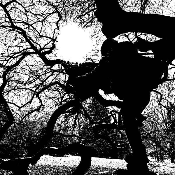 Treehugger