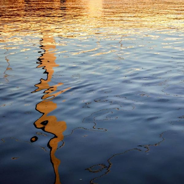 Reflections