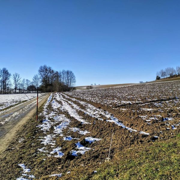 Frühling?