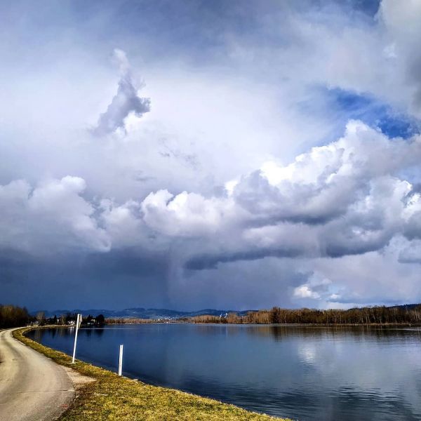 A storm is brewing