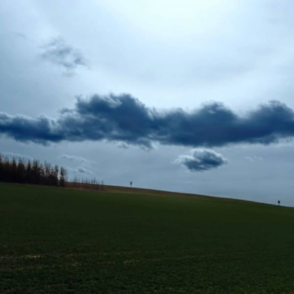 Muttergeburtstagsfahrt