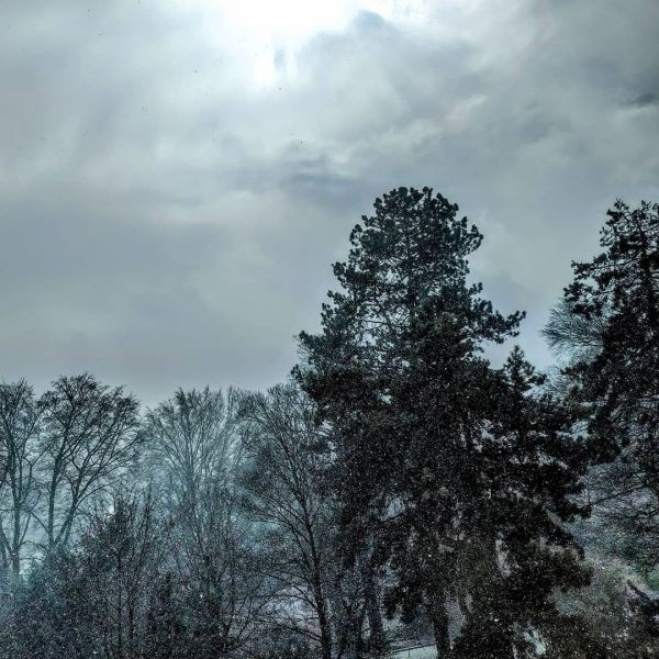 Schneefall und Sonnenschein. April.