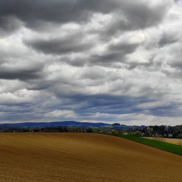#fromwhereiride #slowaf #cycling