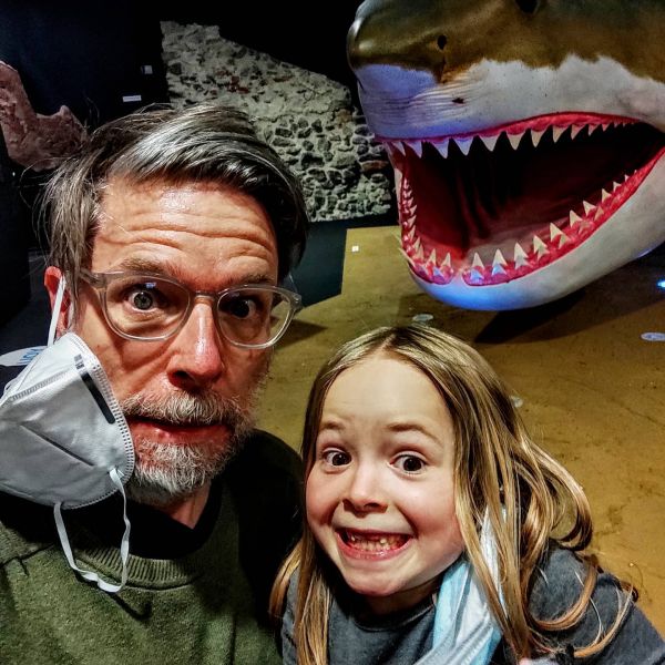 Shark attack