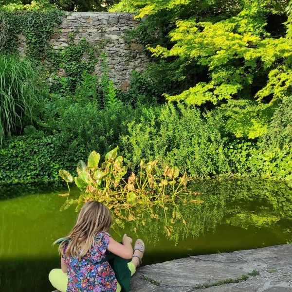 Teich