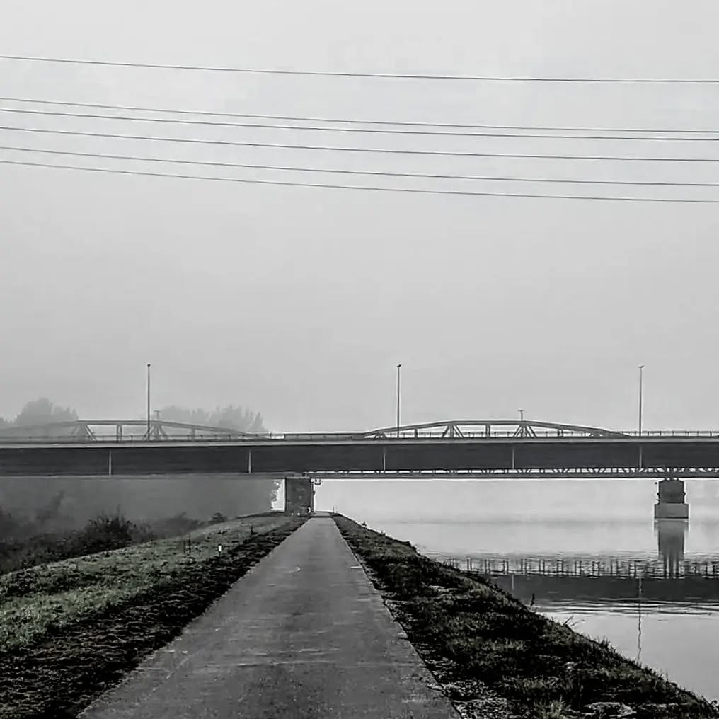 Foggy