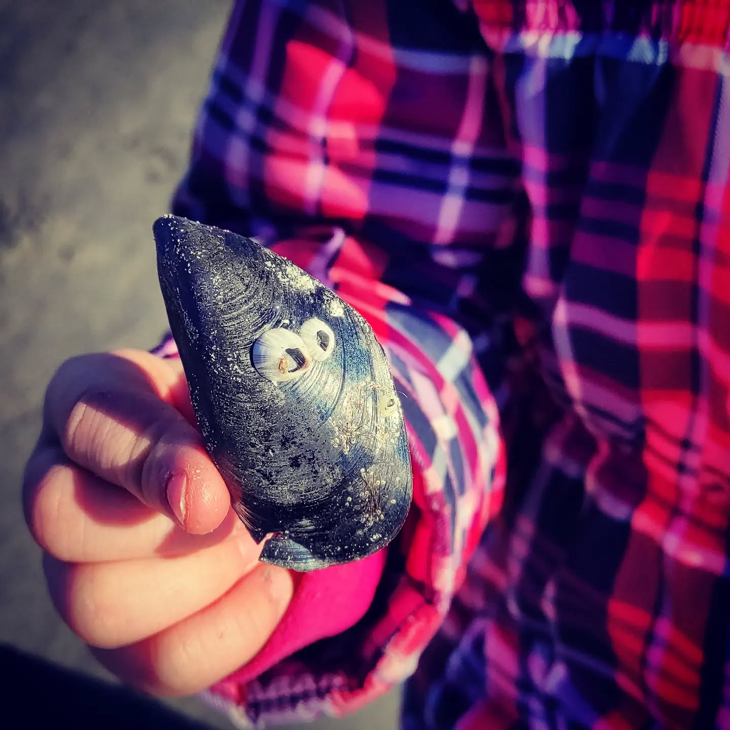 Patrick?