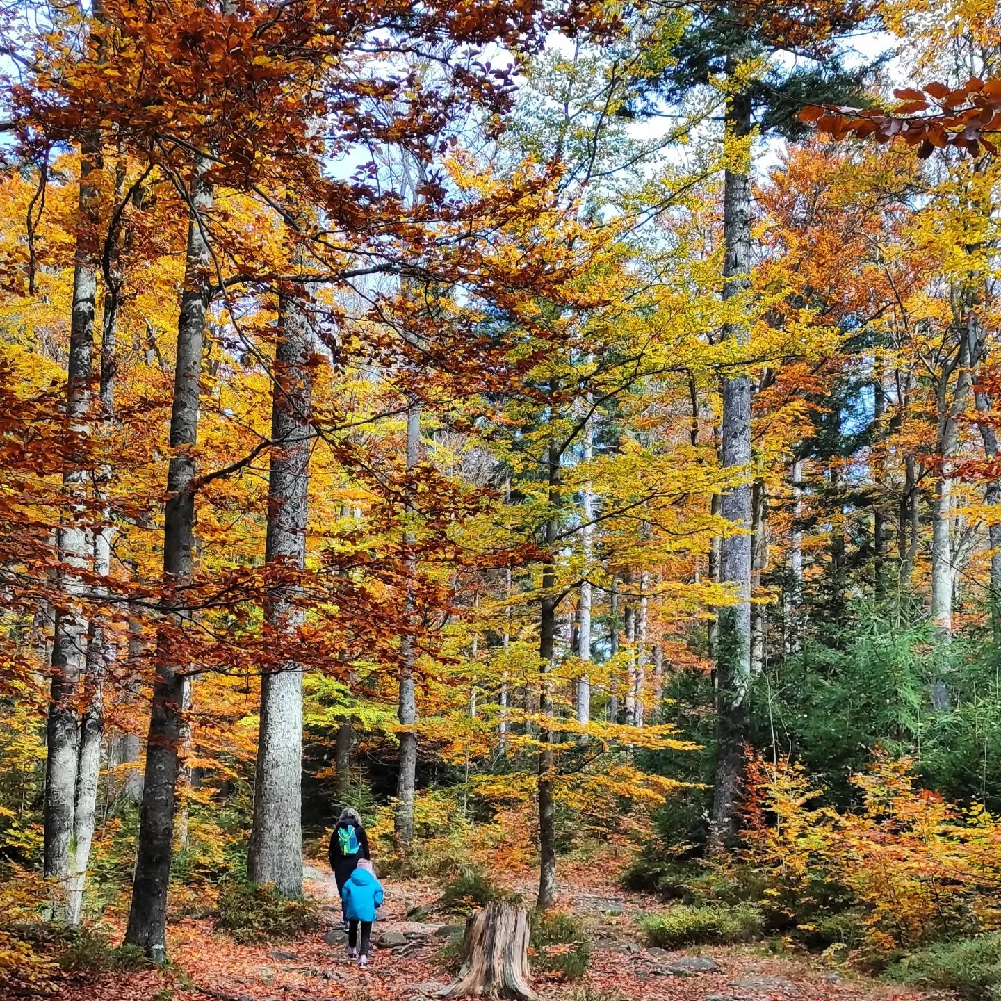 Herbst