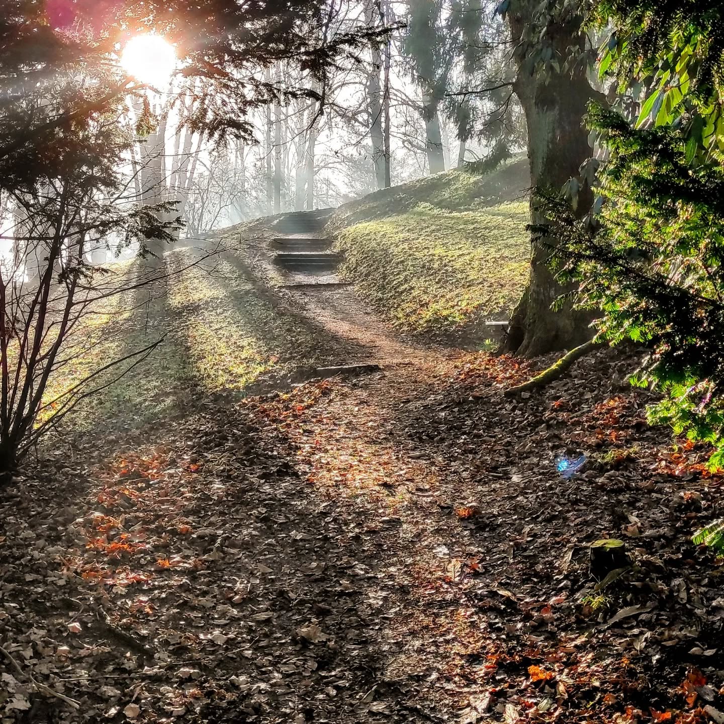 #fromwhereirun