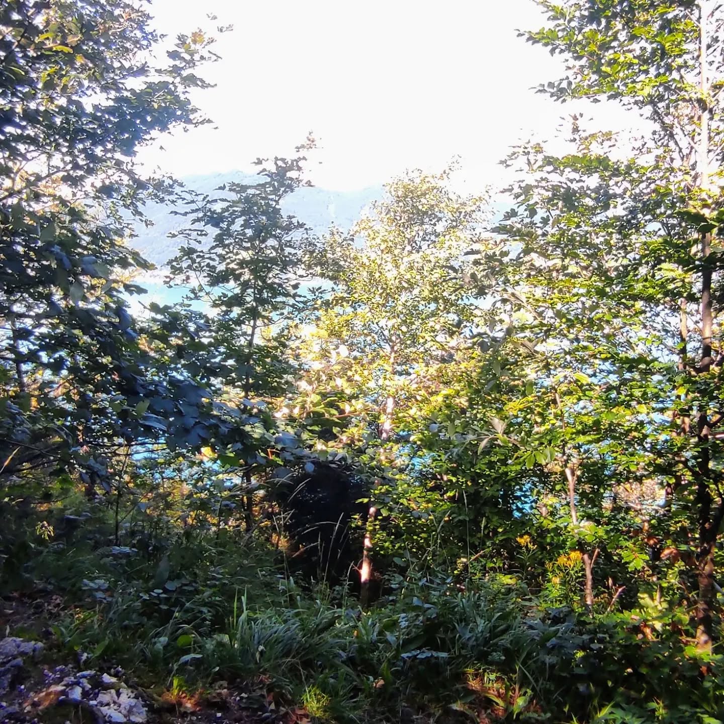 Aussichtsbankerl