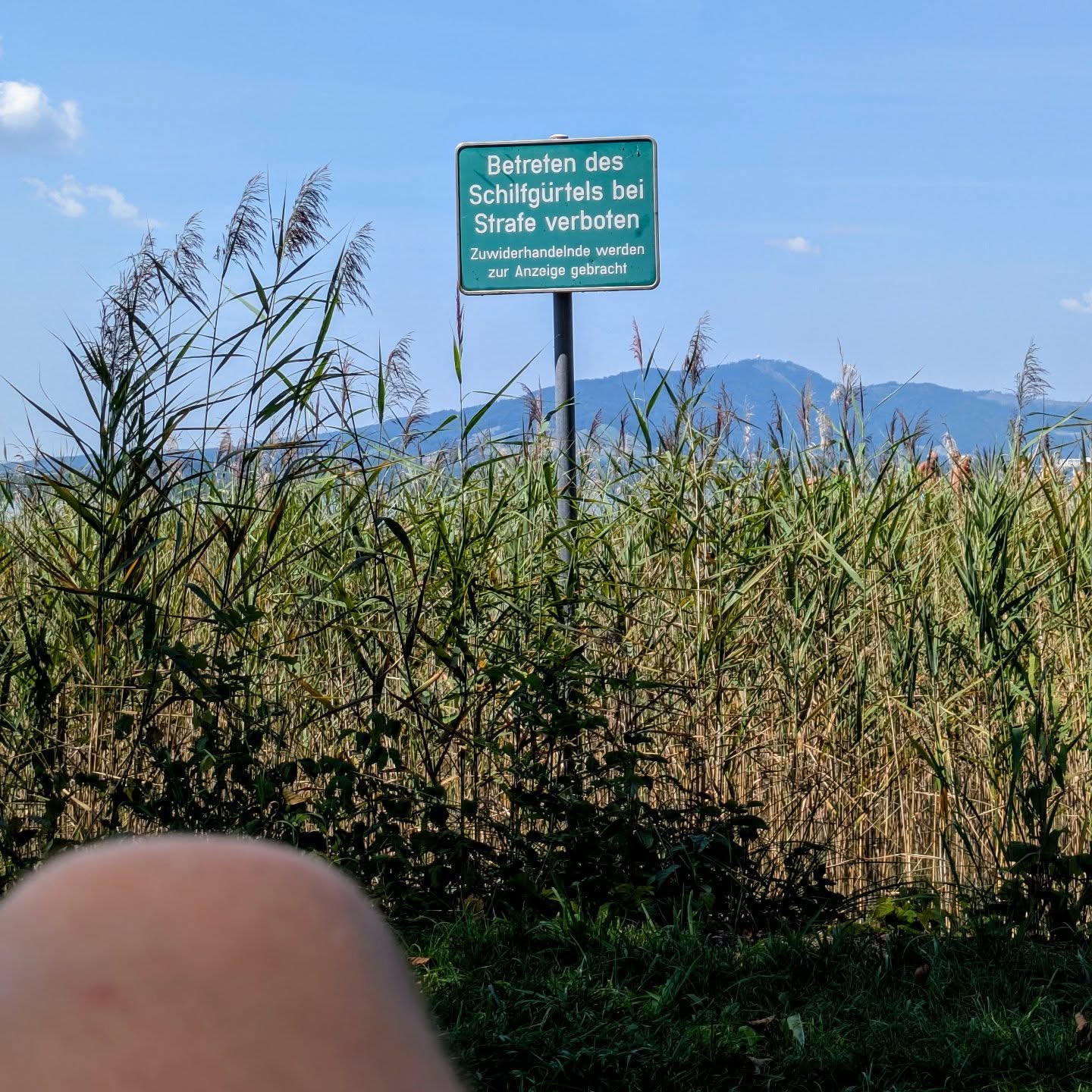 Aussicht