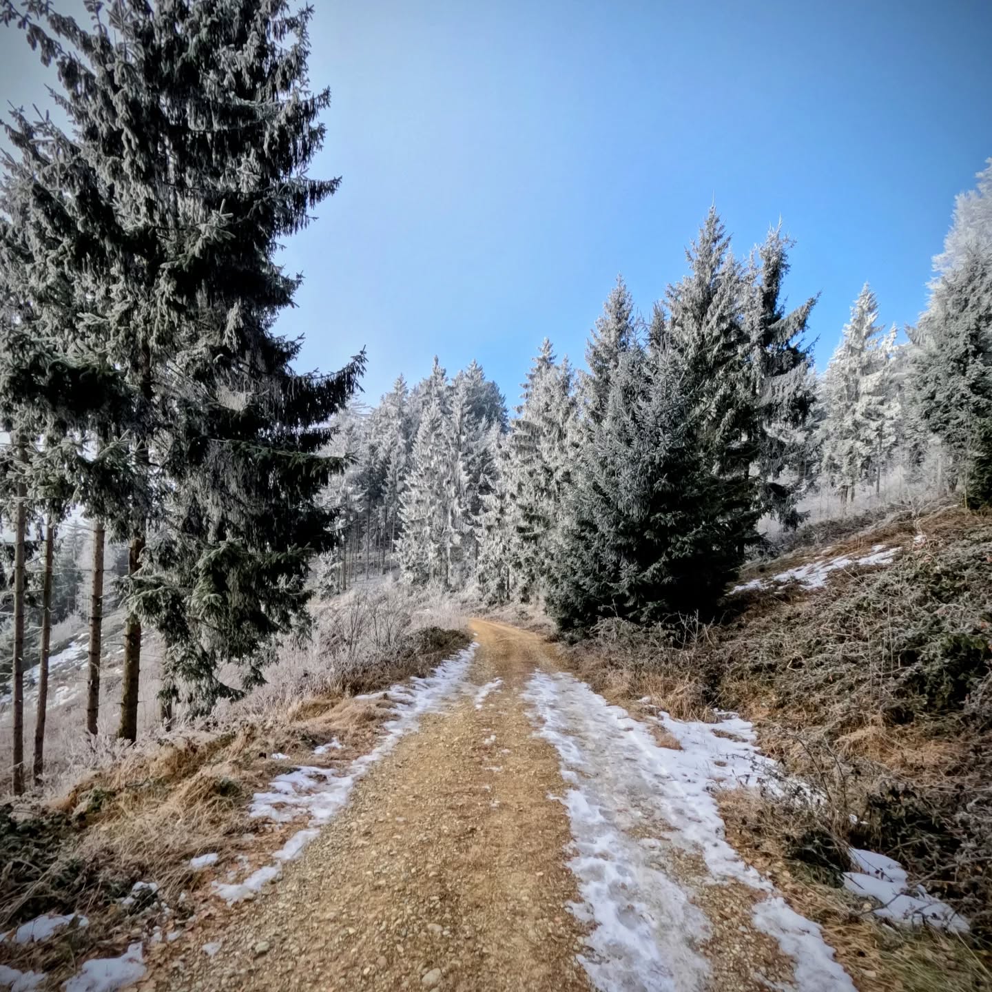 #fromwhereirun